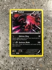 Yveltal