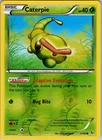Caterpie