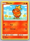 Torchic