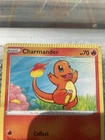 Cramorant