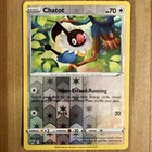 Chatot