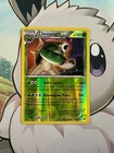 Chesnaught