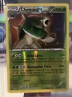 Chesnaught