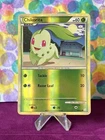 Chikorita