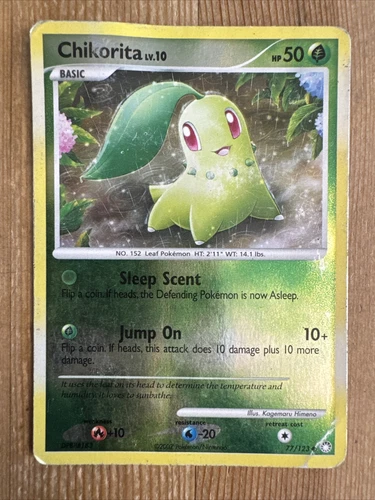Chikorita