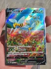 Beedrill G
