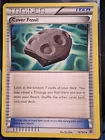 Cover Fossil