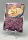 Cutiefly