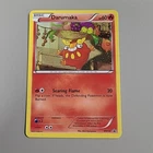 Darumaka