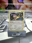 Delcatty