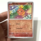 Torchic
