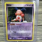 Ditto