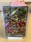 Pokemon Catcher