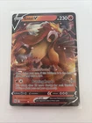 Entei V