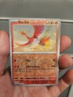 Ho-Oh