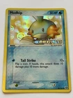 Mudkip