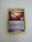 Fiery Torch