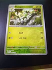 Floragato