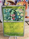 Fomantis