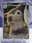Furret