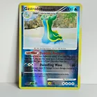 Gastrodon East Sea