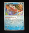 Goldeen