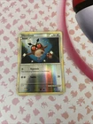 Hoothoot