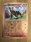 Houndour