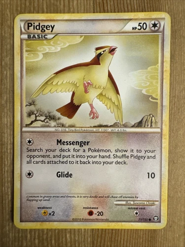 Pidgey