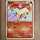 Ponyta