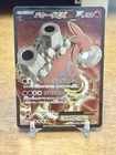 Team Magma's Camerupt