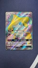 Torchic