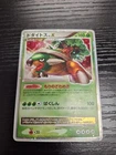 Torterra LV.X