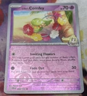 Lillie's Comfey