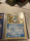 Torchic