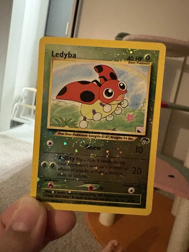 Ledyba