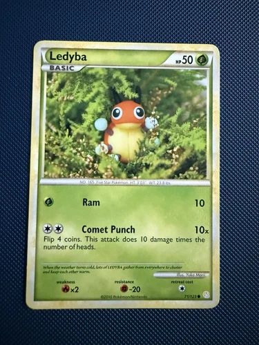 Ledyba