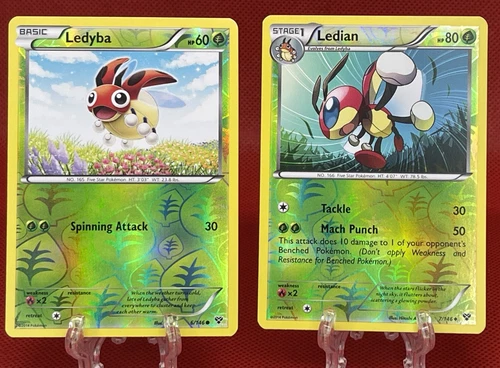 Ledyba