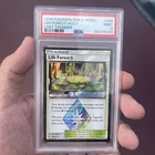 Life Forest