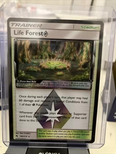 Life Forest