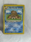 Light Piloswine