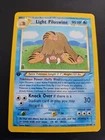 Light Piloswine