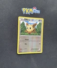 Lillipup