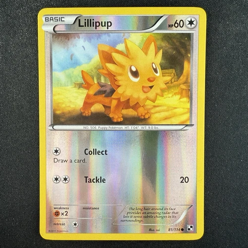 Lillipup