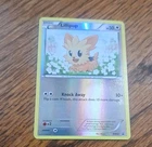 Lillipup