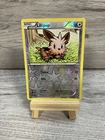 Lillipup