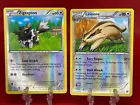 Zigzagoon