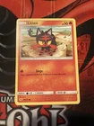 Litten