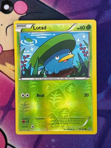 Lotad