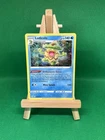 Ludicolo